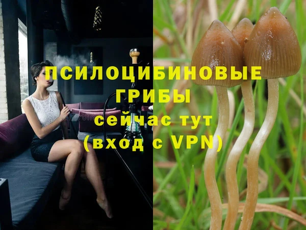 амфетамин Алексеевка