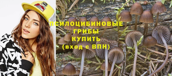 не бодяженный Алексин
